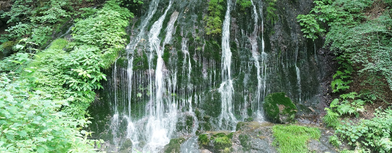 苔むした岩を白い糸のように流れ落ちる小さな白水の滝