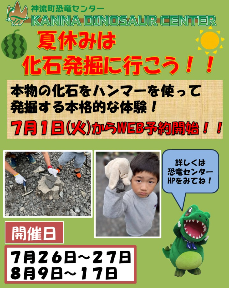 化石さがしの画像