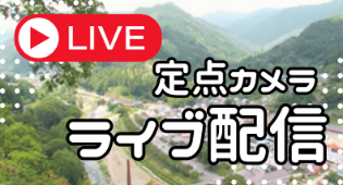 定点カメラライブ配信