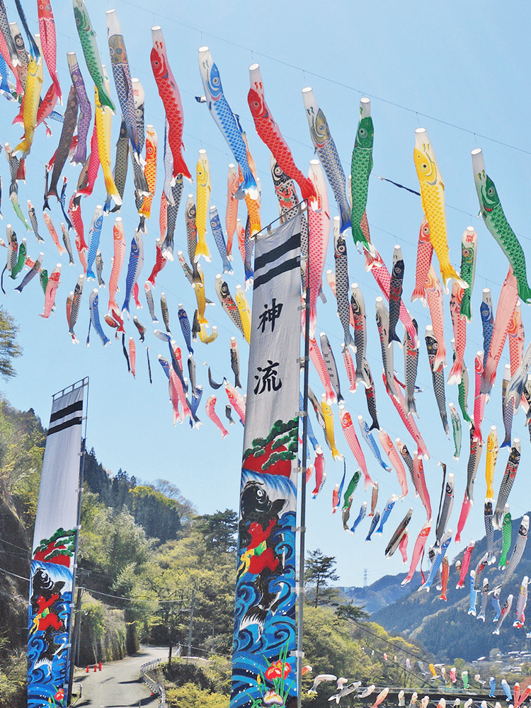 神流川に数多くのこいのぼりが飾られている