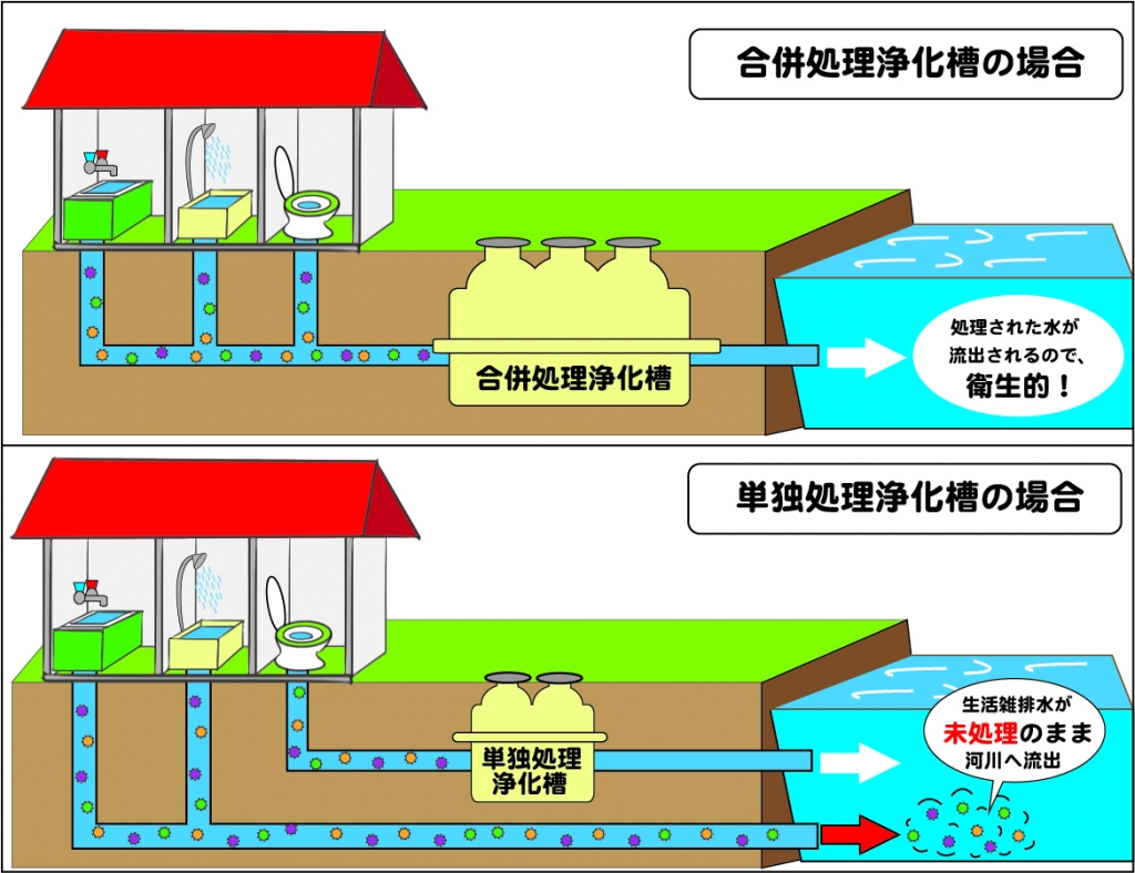 合併処理浄化槽と単独処理浄化槽に分けて住宅から出た排水の流れを説明しているフロー図