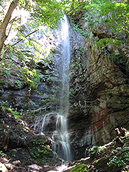 木漏れ日が当たる断崖絶壁を一本「入沢の滝」の水が流れ落ちている写真