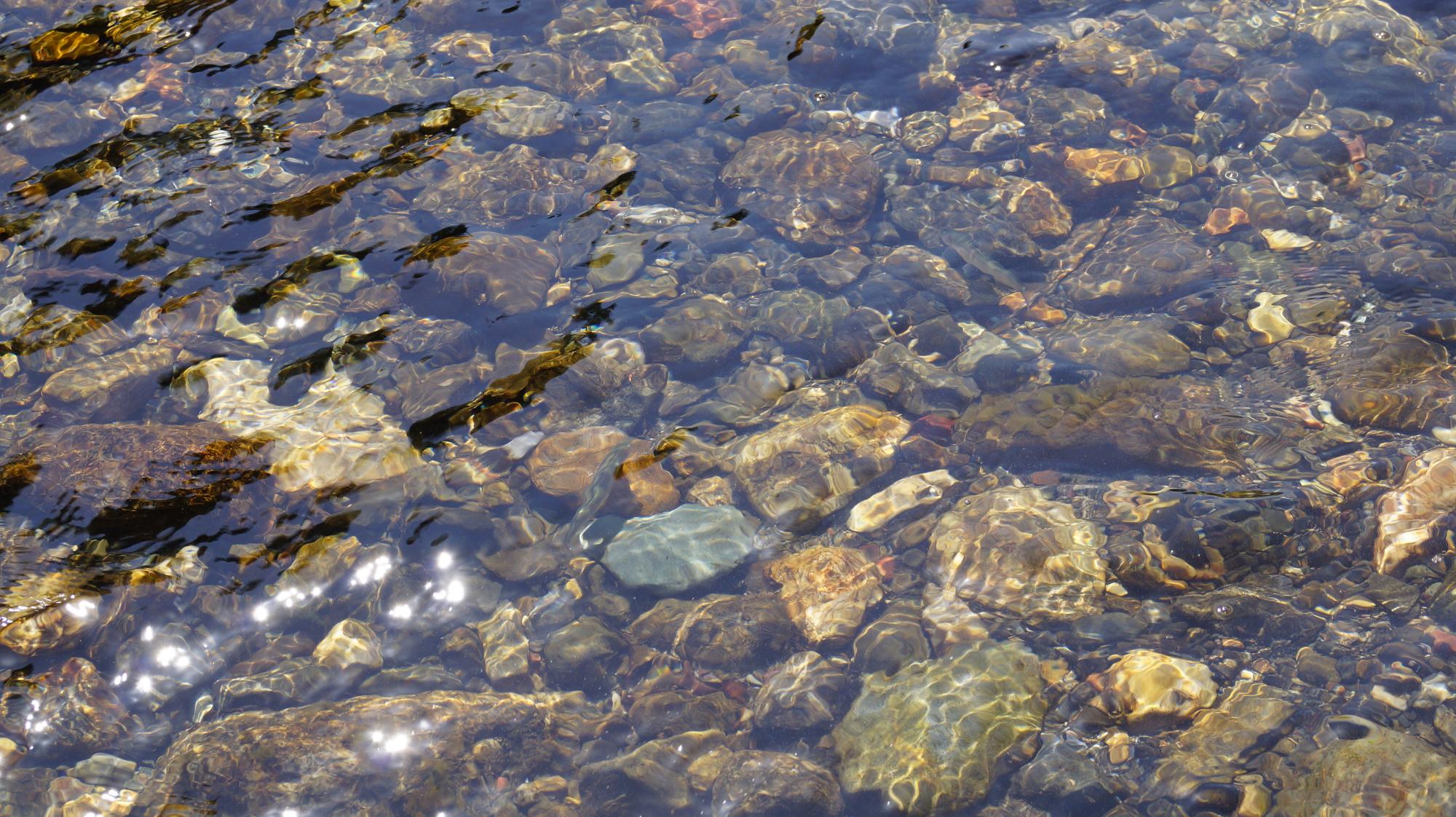 川底の石がはっきりわかるほど澄み切った美しい清流神流川