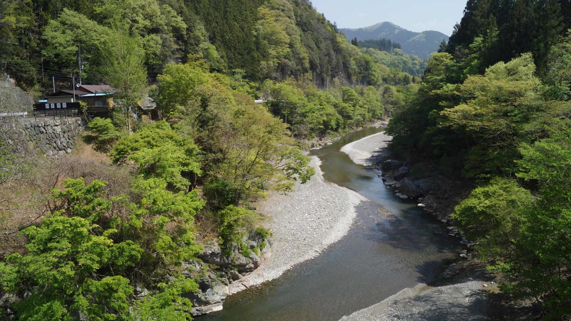 新緑に囲まれて流れる透きとおった川